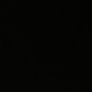 Meet your Posher, Jinasha